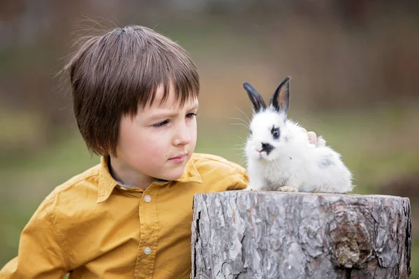 Bonito menino pré-escolar, brincando com coelhos de estimação no jardim — Fotografia de Stock
