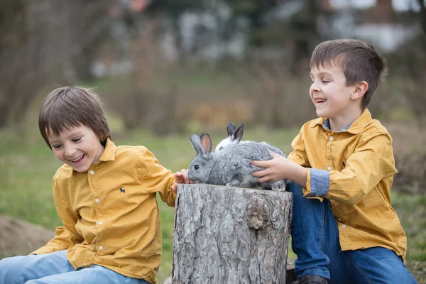 Lindos niños preescolares, jugando con conejos de mascotas —  Fotos de Stock