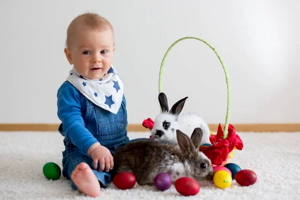 Litet barn barn, pojke, leka med kaninerna och påsk — Stockfoto