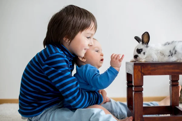 Criança pequena, menino, brincando com coelhos e páscoa — Fotografia de Stock