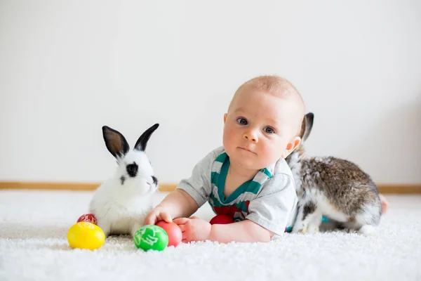 Litet barn barn, pojke, leka med kaninerna och påsk — Stockfoto