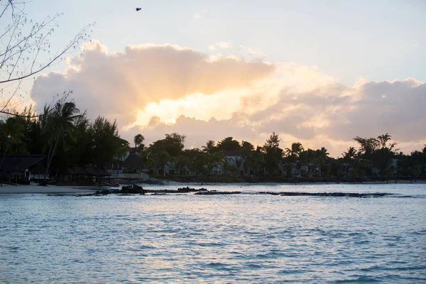 Gelukkig mooie mode familie, kinderen, gekleed in Hawaïaans sh — Stockfoto