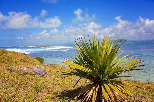 Bela natureza incrível fundo. Mar tropical azul sol. Luxu — Fotografia de Stock