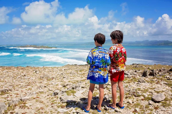Enfants heureux en chemises hawaïennes colorées, profitant de l'observation t — Photo