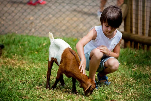 Rapaz pré-escolar, a acariciar a cabra na quinta dos miúdos. Bonito tipo c — Fotografia de Stock