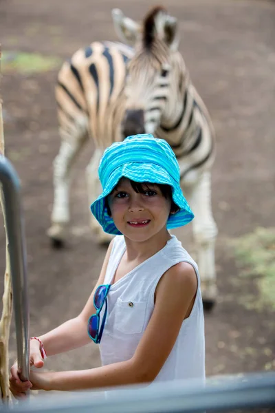 Barn som njuter flock zebror och struts i naturen i parken — Stockfoto