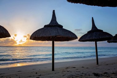 Lüks Plaj otel, palmiye ağaçları silüeti, yüzme havuzu, bir 