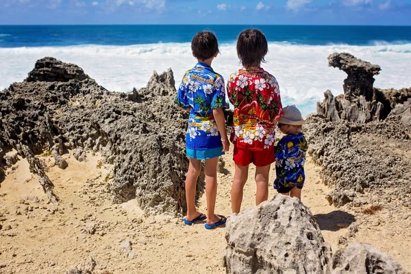 Enfants heureux en chemises hawaïennes colorées, profitant de l'observation t — Photo