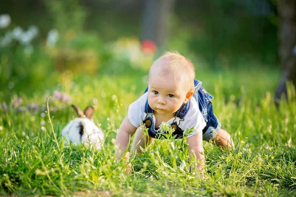 Söta barn baby pojke med sin lilla kanin, sitter i parken, s — Stockfoto