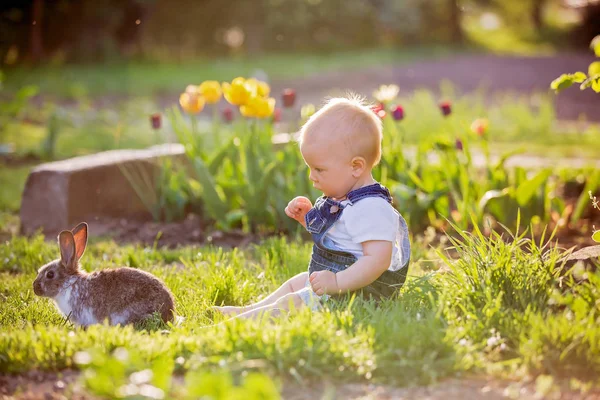 Dulce bebé niño con su pequeño conejito, sentado en el parque, s —  Fotos de Stock