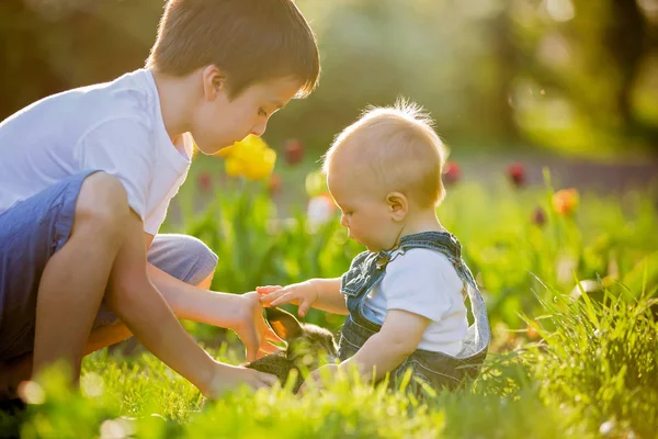 Förskola barn, kramar och kysser hans söta barn baby pojke — Stockfoto