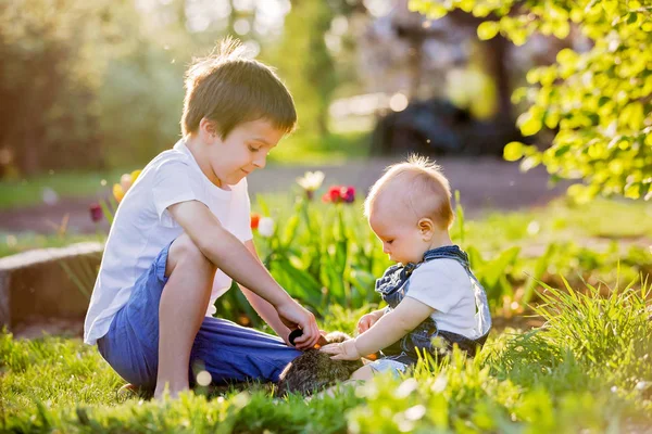 Niño en edad preescolar, abrazando y besando a su dulce bebé —  Fotos de Stock