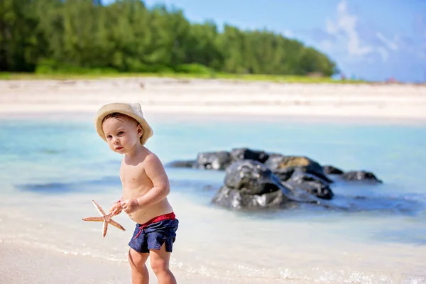 Enfants jouant avec étoile de mer, enfants bonheur plage été conc — Photo