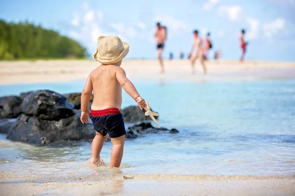 Niños jugando con estrellas de mar, niños felicidad playa verano conc — Foto de Stock