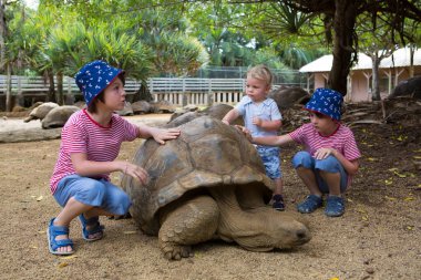 Happy family, children and parents, feeding giant tortoises in a clipart