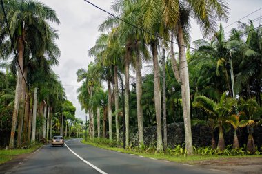 Gün batımında Mauritius adasında doğal yol
