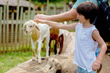 Preschool boy, petting little goat in the kids farm. Cute kind c