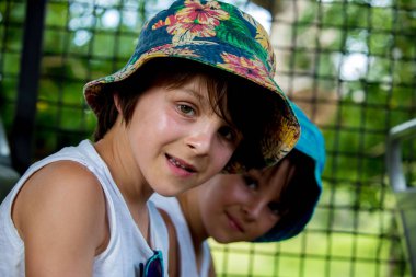 Kaplan, doğa daki gölge/vahşi hayvanda dinleniyor.