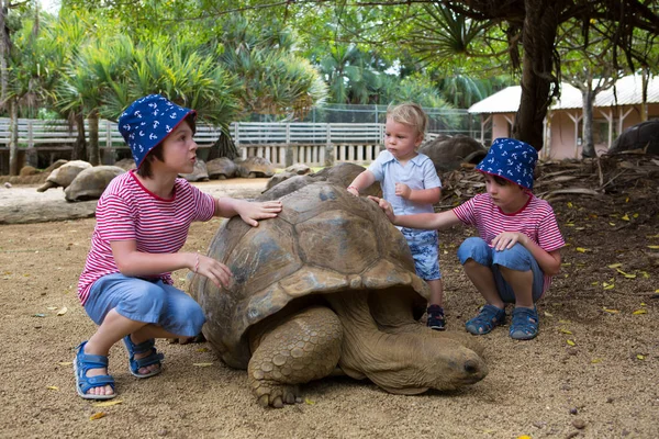 Happy family, children and parents, feeding giant tortoises in a — Stock Photo, Image