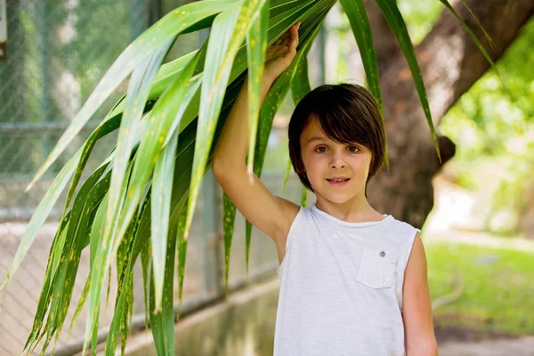 Nauwe portret van zoete Preschool Boy, holding groot blad in rainf — Stockfoto