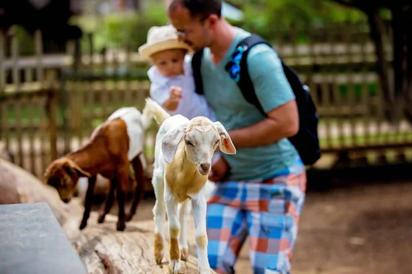 Preschool boy, petting little goat in the kids farm. Cute kind c — Stock Photo, Image