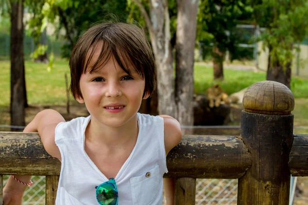 Famiglia che osserva leoni e tigri in un parco — Foto Stock