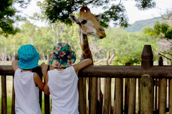 Menschen genießen Giraffen im Wildtier-Safaripark — Stockfoto
