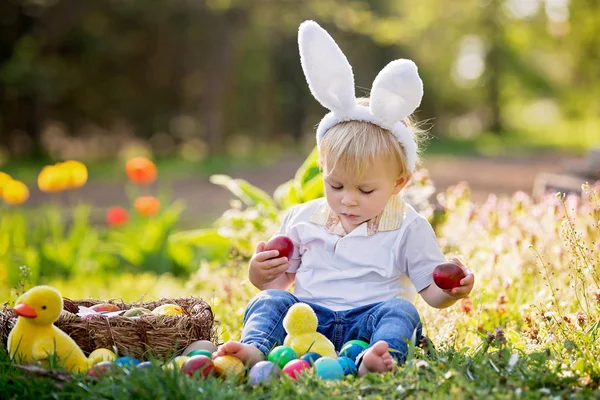 Zoete peuter jongen met bunny oren, eieren jagen voor Pasen, kind — Stockfoto