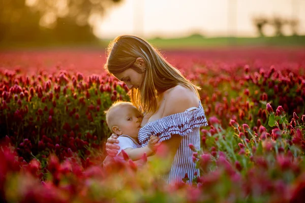 아름다운 젊은 어머니, 모유 수유 그녀의 유아 아기 소년 이동 — 스톡 사진