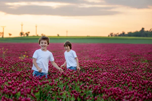 Gün batımında muhteşem kırmızı yonca alanında güzel çocuklar — Stok fotoğraf