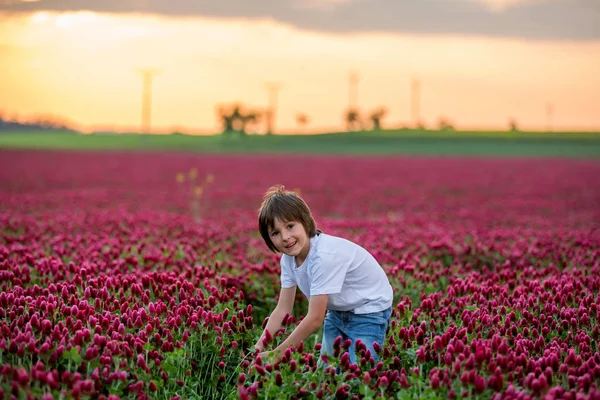 Mooi kind in prachtige Crimson Clover veld op zonsondergang, Gath — Stockfoto