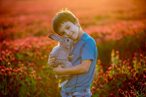 Hermoso niño con lindo conejito en hermoso campo de trébol carmesí —  Fotos de Stock