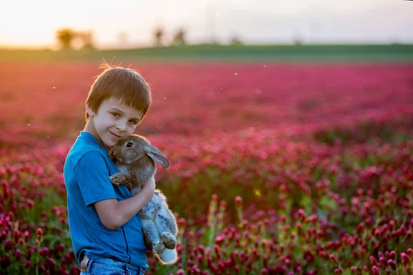 Hermoso niño con lindo conejito en hermoso campo de trébol carmesí —  Fotos de Stock