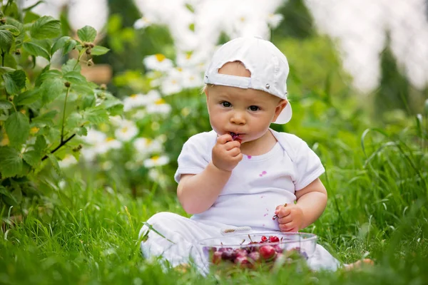 Lieve kleine kind, jongetje, het eten van kersen in de tuin, enjoyin — Stockfoto