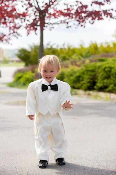 Mooie peuter jongen in Tuxedo, spelen in een park op een bruiloft — Stockfoto