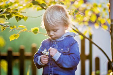 Kot pantolon ve gömlek ile küçük yürümeye başlayan çocuk, sevimli çiçekler tutarak