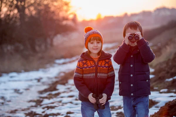 Dos niños pequeños, niños, explorando la naturaleza con prismáticos —  Fotos de Stock