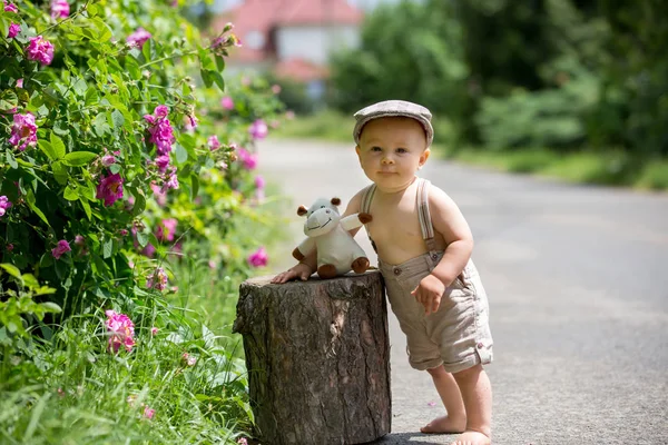 Симпатичный малыш, ребенок, играет с пушистой игрушкой на s — стоковое фото