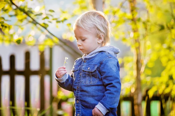Menino pequeno com jeans e camisa, segurando flores bonitos em — Fotografia de Stock