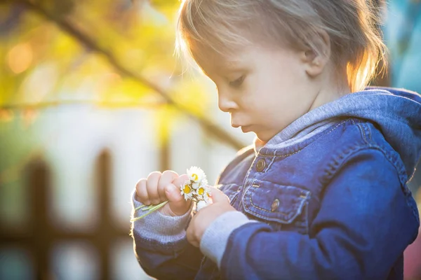 Little toddler boy with jeans and shirt, holding cute flowers on — Stock Photo, Image