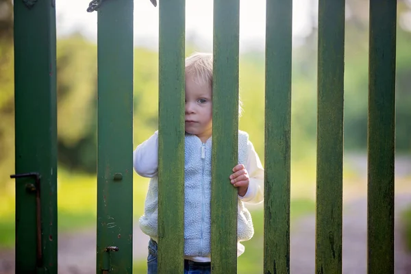 Zoete peuter jongen, staande achter groene houten poort, glimlachend — Stockfoto