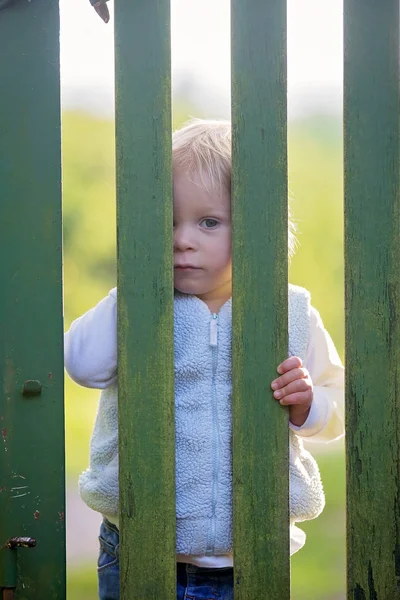 Zoete peuter jongen, staande achter groene houten poort, glimlachend — Stockfoto