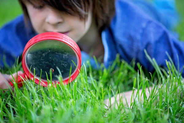 Preteen child, boy, exploring with magnifying glass, watching la — Stock Photo, Image