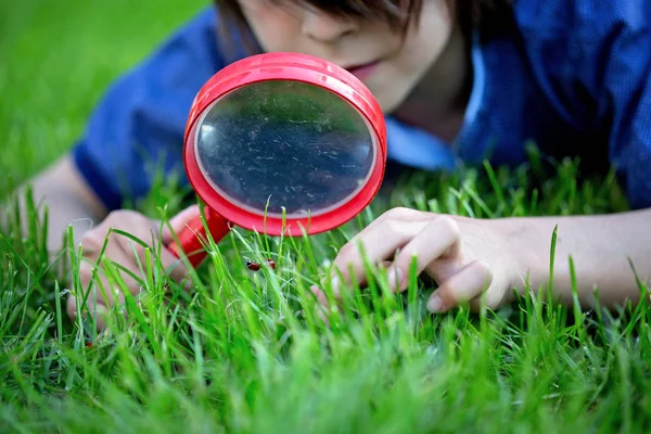 Preteen child, boy, exploring with magnifying glass, watching la — Stock Photo, Image