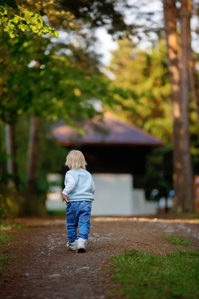 Bonito menino pequeno feliz andando em um caminho em direção à floresta Fotografia De Stock