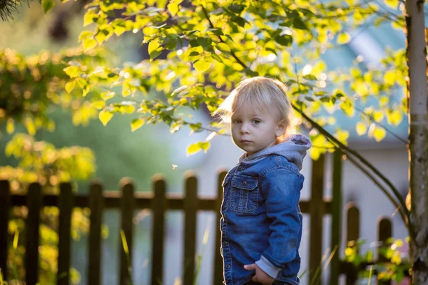 Piccolo bambino con jeans e camicia, che tiene su dei fiori carini — Foto Stock