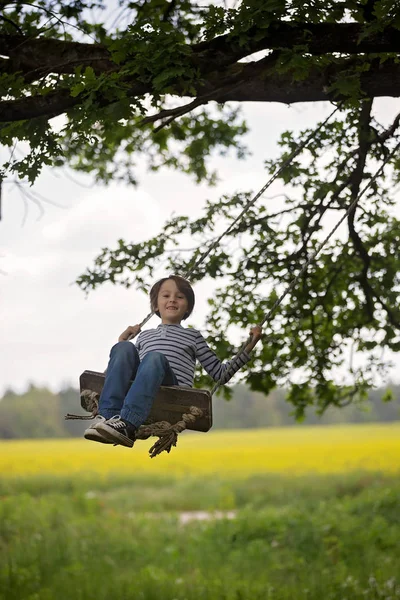 Tatlı çocuk, genç çocuk, tahta bir salıncakta sallanan — Stok fotoğraf