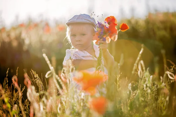 Feliz hermoso niño pequeño, con ramo de flores silvestres o —  Fotos de Stock