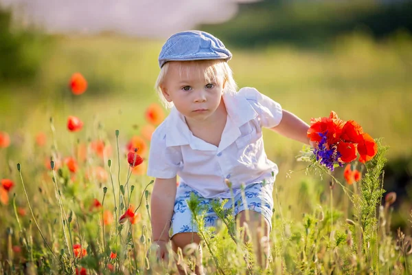 Ευτυχισμένο όμορφο νήπιο παιδί, κρατώντας μπουκέτο από άγρια λουλούδια o — Φωτογραφία Αρχείου