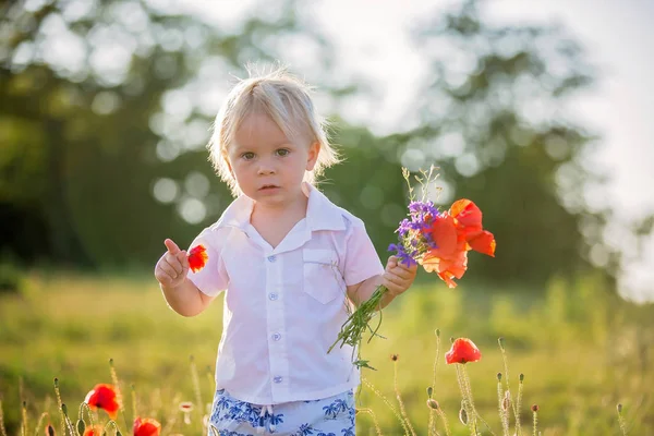 Feliz hermoso niño pequeño, con ramo de flores silvestres o —  Fotos de Stock